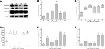 Ca2+/Calmodulin-NOS/NO-TNFs Pathway Hallmarks the Inflammation Response of Oyster During Aerial Exposure